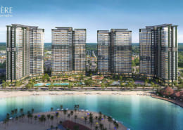 phoi canh lumiere springbay