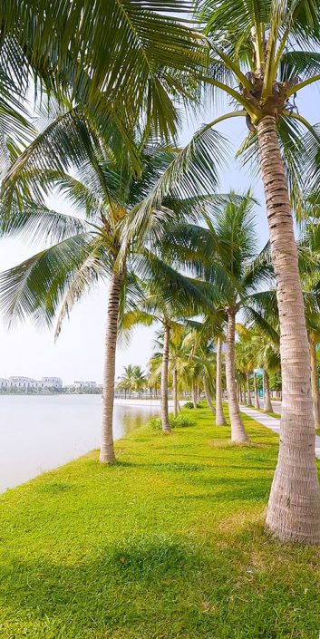 cay xanh vinhomes ocean park